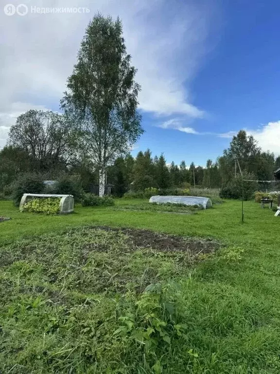 Дом в Новгородская область, Любытинское сельское поселение, деревня ... - Фото 1