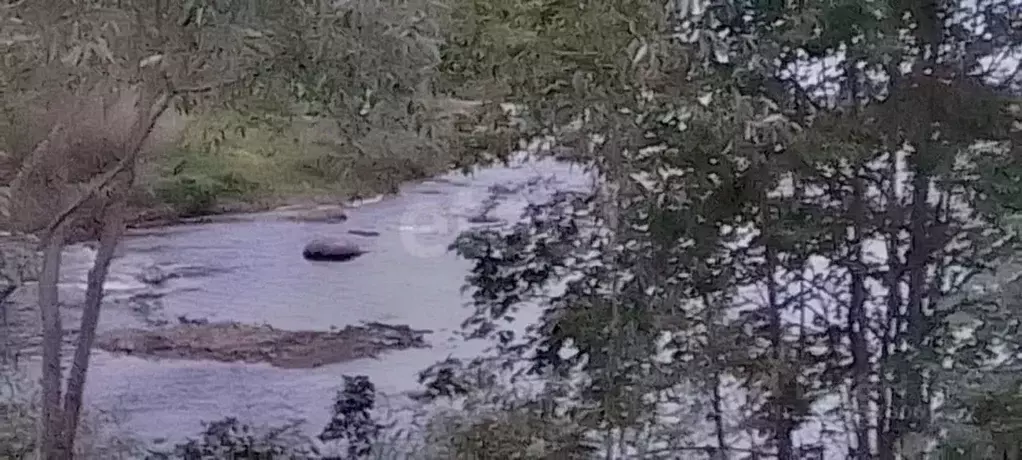 Участок в Псковская область, Порховский муниципальный округ, д. ... - Фото 1