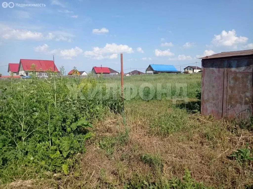 Участок в Новосибирская область, рабочий посёлок Коченёво, Тихая улица ... - Фото 1