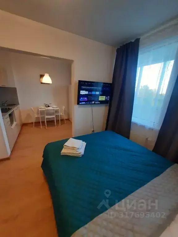 1-к кв. Санкт-Петербург просп. Энергетиков, 11к5 (30.0 м) - Фото 0
