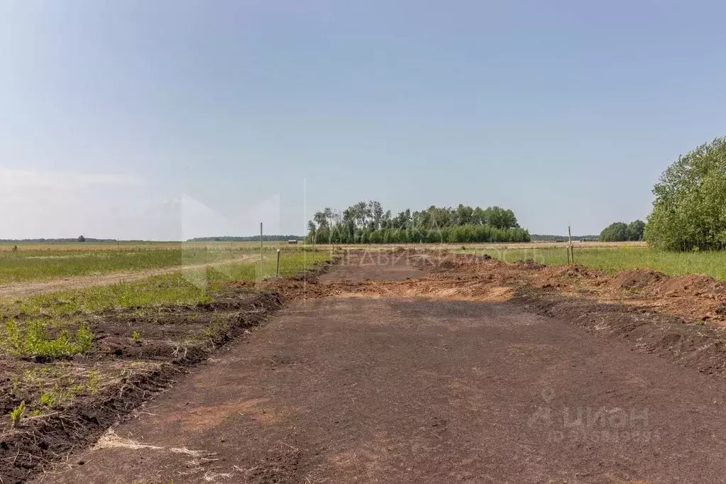 Участок в Тюменская область, Тюменский район, Новокаменский кп  (9.74 ... - Фото 1