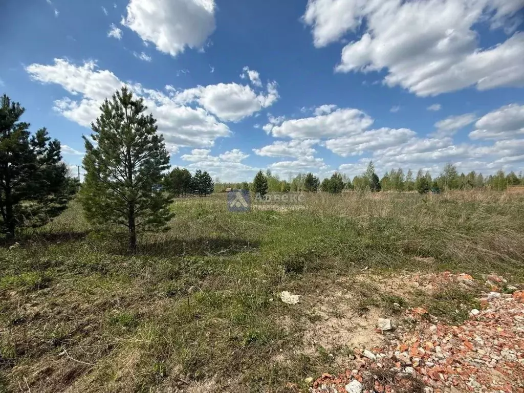 Участок в Тюменская область, Нижнетавдинский муниципальный округ, ... - Фото 1