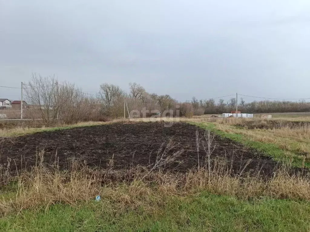Участок в Воронежская область, Рамонский район, Березовское с/пос, ... - Фото 1