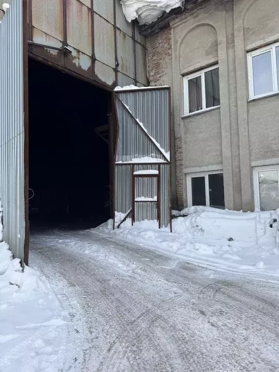 Помещение свободного назначения в Новосибирская область, с. ... - Фото 1