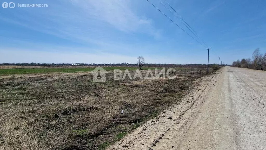 Участок в Владимирская область, Собинский муниципальный округ, село ... - Фото 1