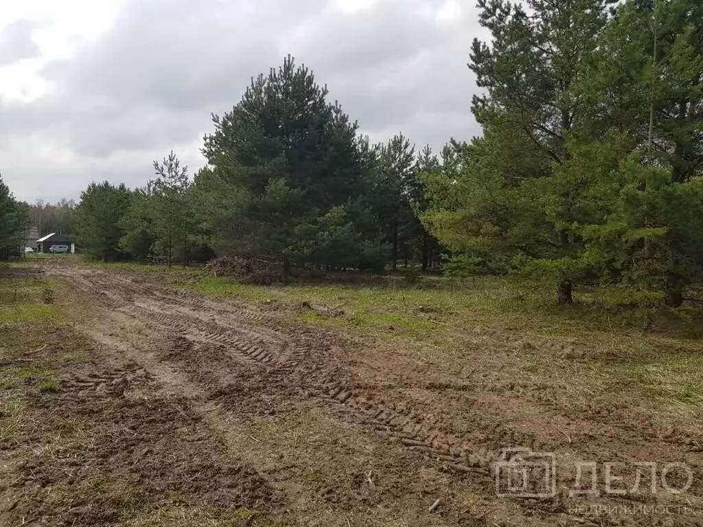 Участок в Спасский район, Панинское сельское поселение, деревня ... - Фото 1