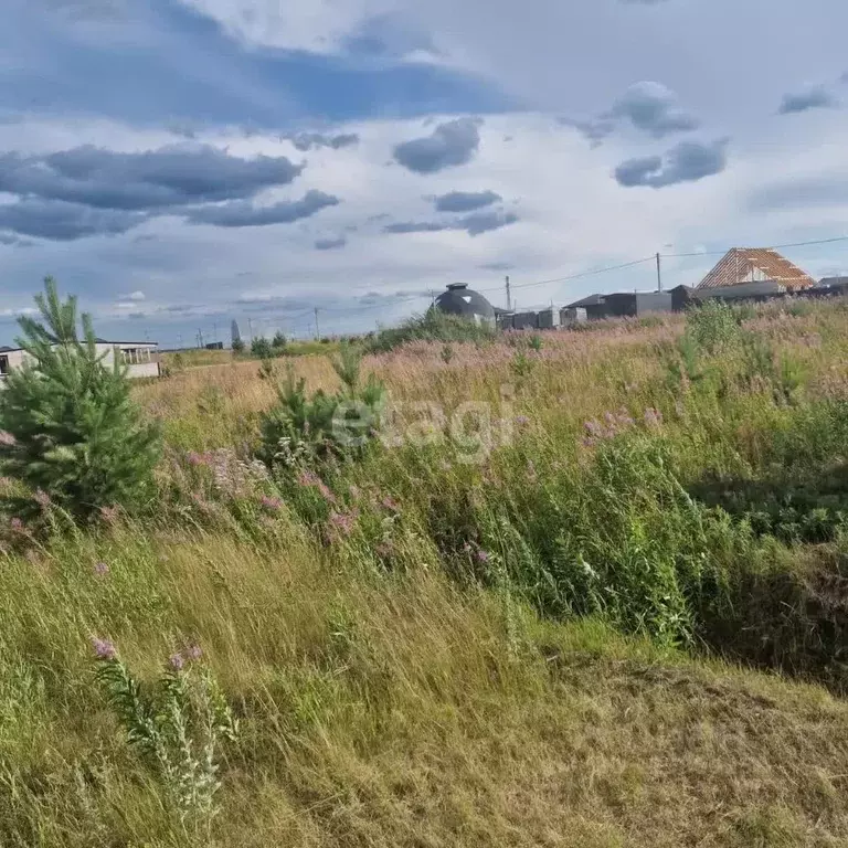 Участок в Тюменская область, Тюменский муниципальный округ, д. Елань, ... - Фото 1