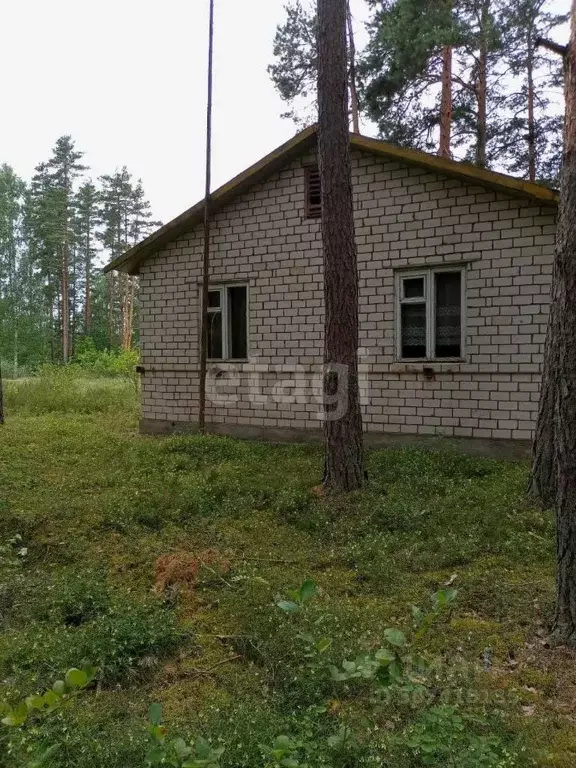 Дом в Псковская область, Печорский муниципальный округ, д. Моложва  ... - Фото 0