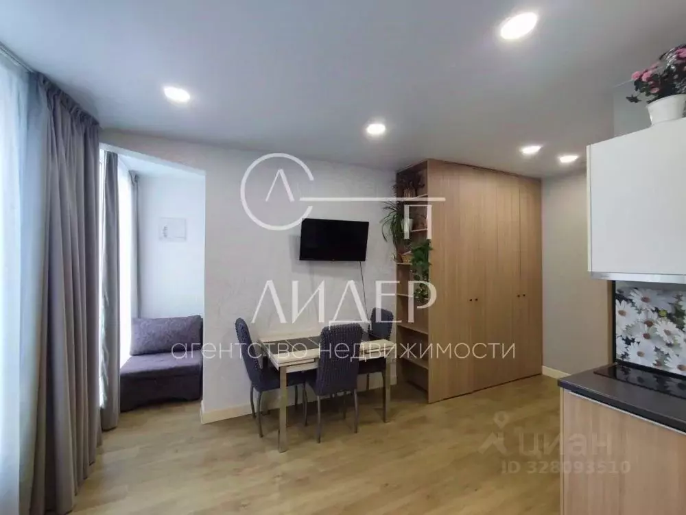 Студия Краснодарский край, Сочи Мамайка мкр, ул. Волжская, 16 (25.0 м) - Фото 2