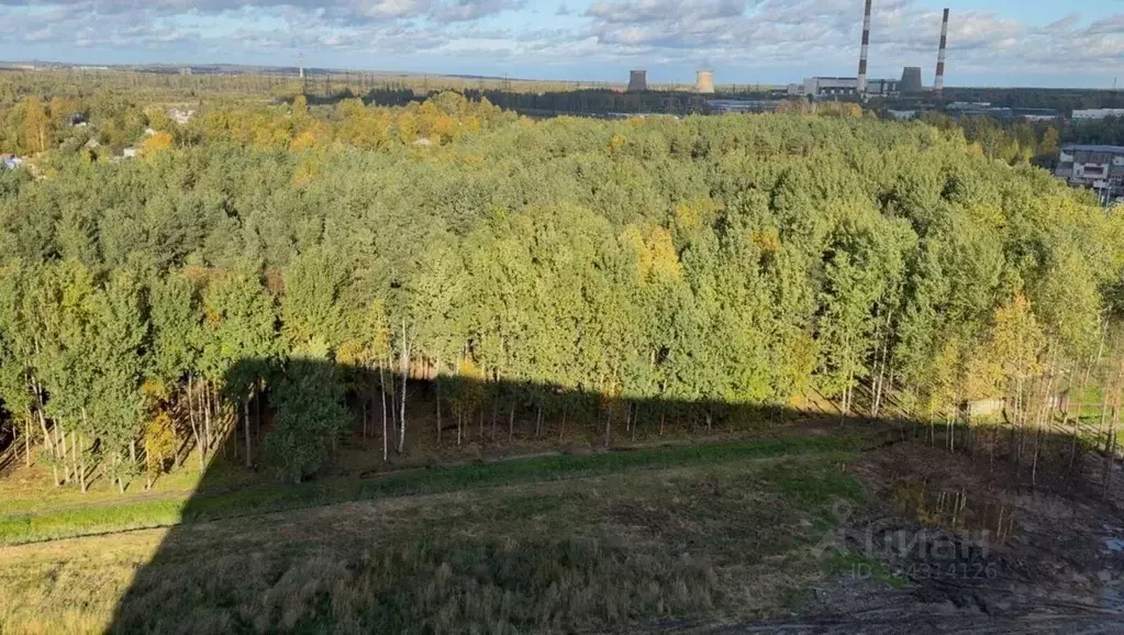 1-к кв. Ленинградская область, Мурино Всеволожский район, ул. ... - Фото 1