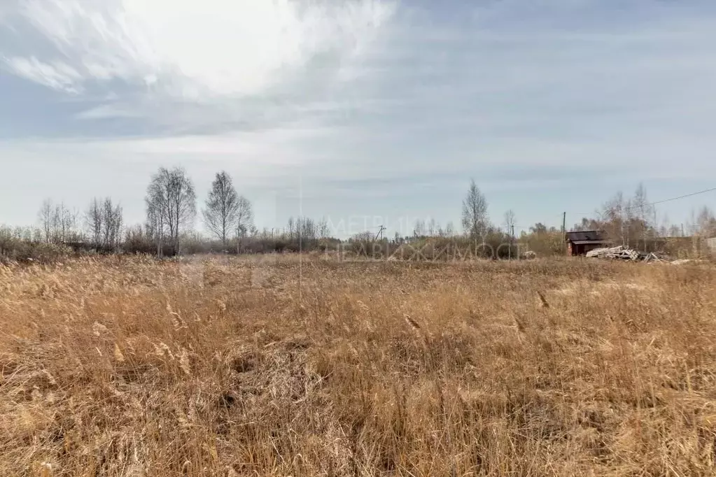 Участок в Тюменская область, Тюмень Поле Чудес садовое товарищество, ... - Фото 0