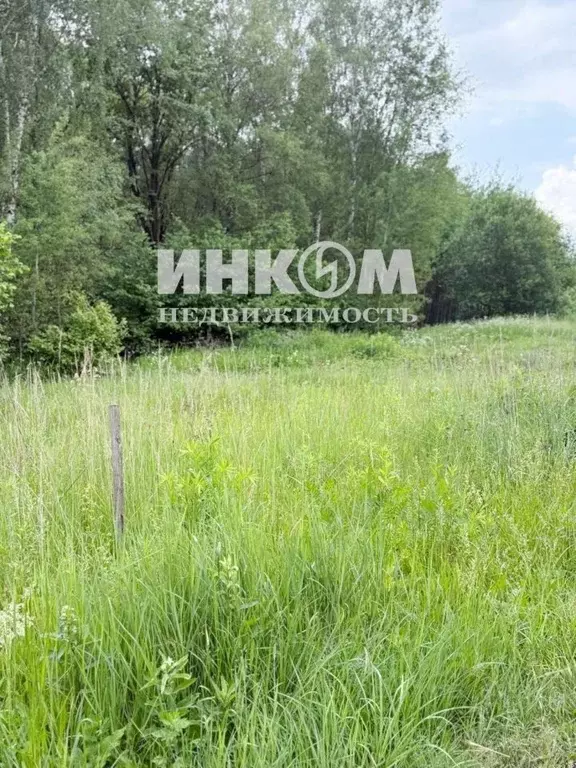 Участок в Московская область, Раменский муниципальный округ, ... - Фото 0
