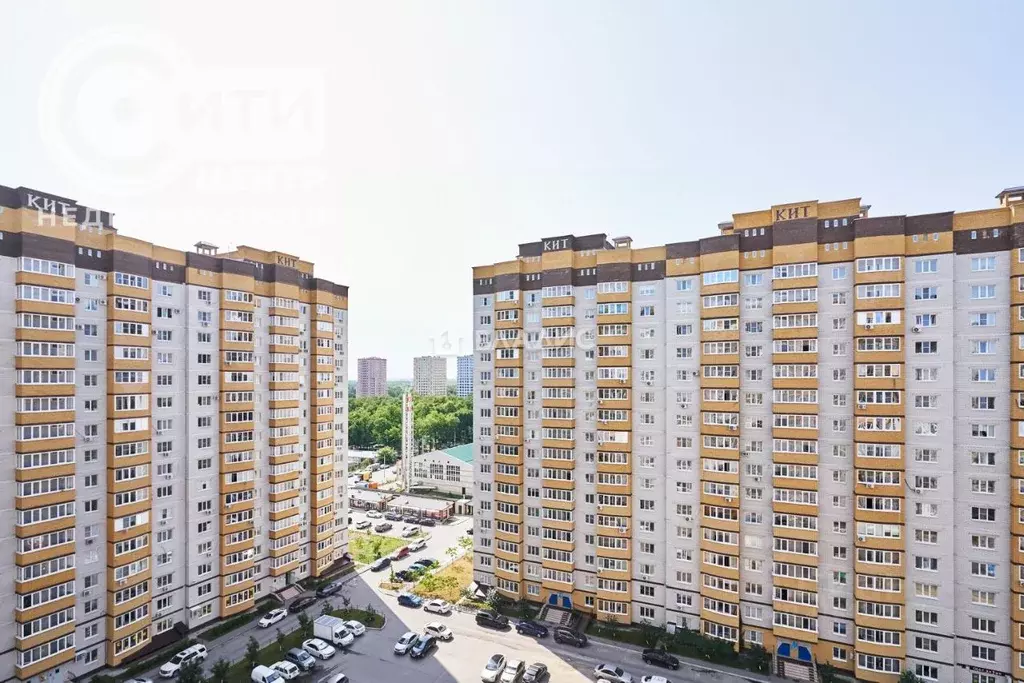 2-к кв. Воронежская область, Воронеж ул. Академика Конопатова, 17 ... - Фото 1