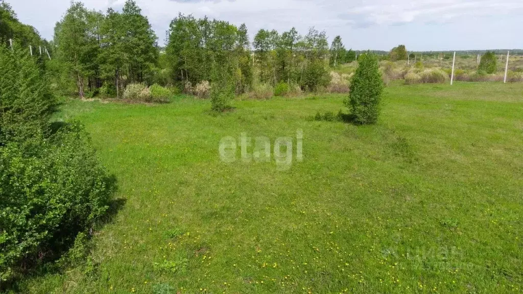 Участок в Тюменская область, Тюменский муниципальный округ, д. ... - Фото 1