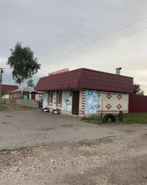 Помещение свободного назначения в Рязанская область, Шацкий район, ... - Фото 2