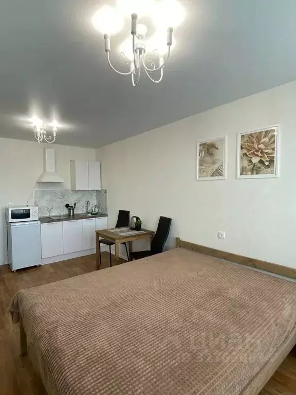 Студия Кировская область, Киров ул. Азина, 17 (25.0 м) - Фото 2