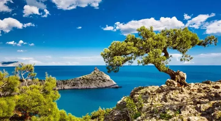 1-к кв. Крым, Феодосия ул. Назукина, 1 (38.0 м) - Фото 1