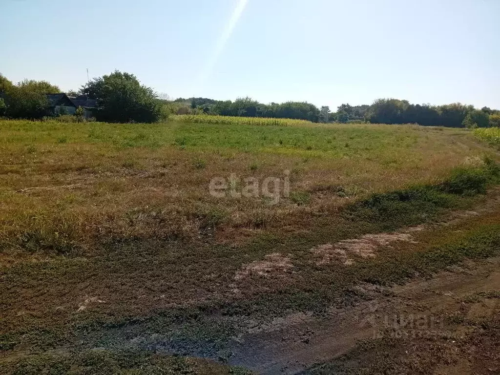 Участок в Белгородская область, Красногвардейский район, Никитовское ... - Фото 1