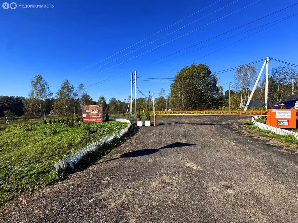 Участок в Московская область, Дмитровский муниципальный округ, КП ... - Фото 2