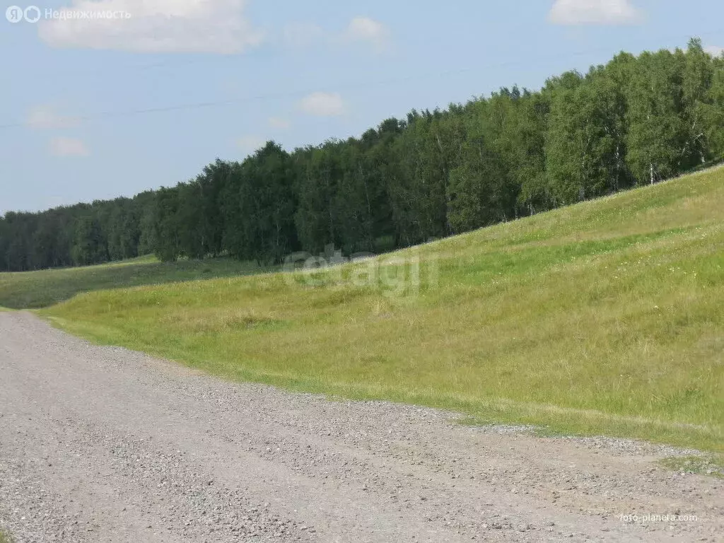 Участок в Казанский район, деревня Боровлянка, Центральная улица (19 ... - Фото 0