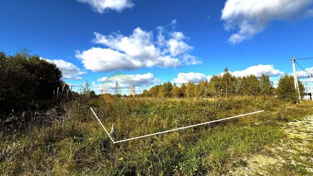 Участок в Ленинградская область, Ломоносовский район, Лопухинское ... - Фото 0