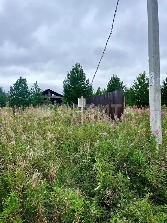 Участок в Тюменская область, Тюменский район, с. Кулига  (10.81 сот.) - Фото 0