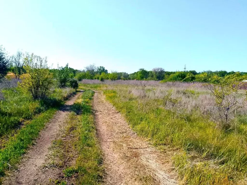 Участок в Волгоградская область, Среднеахтубинский район, ... - Фото 1