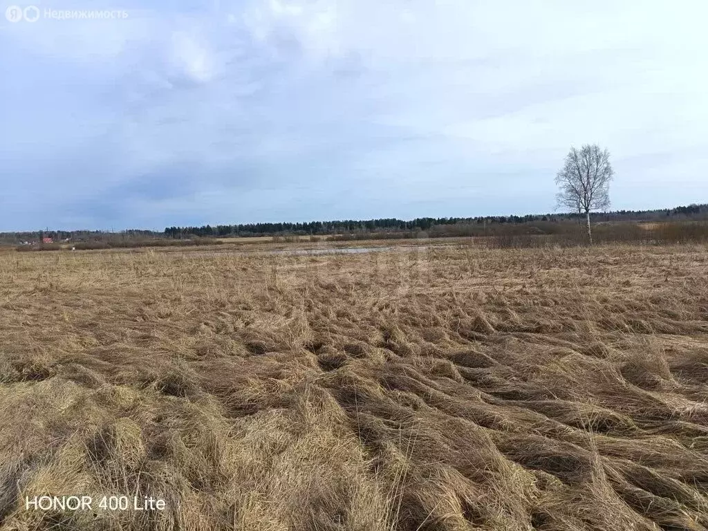 Участок в Староладожское сельское поселение, деревня Подол, коттеджный ... - Фото 2