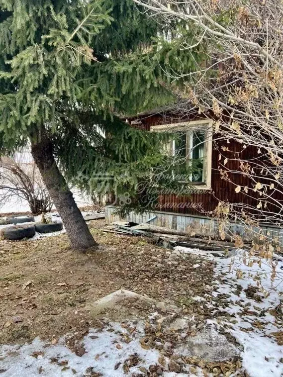 Участок в Иркутская область, Иркутский муниципальный округ, с. ... - Фото 2