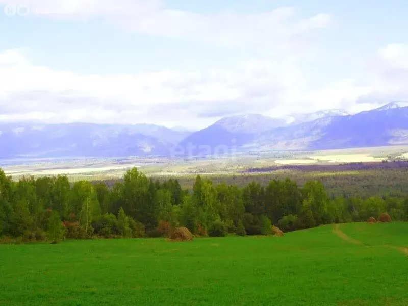 Участок в Усть-Коксинский район, село Мульта (140 м) - Фото 0