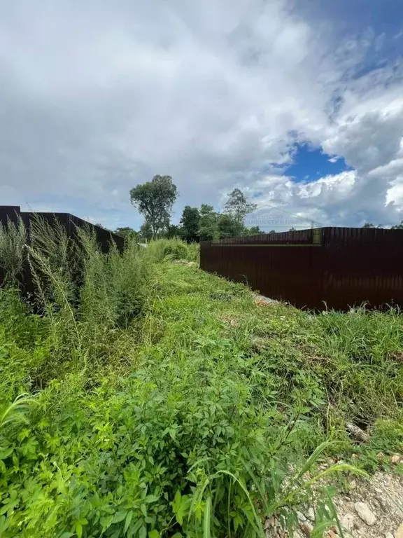 Участок в Приморский край, Артемовский городской округ, с. Кневичи ул. ... - Фото 0