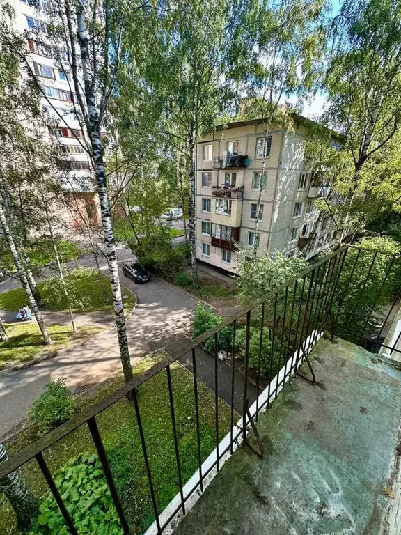 3-к кв. Санкт-Петербург ул. Ольги Форш, 3 (59.9 м) - Фото 2