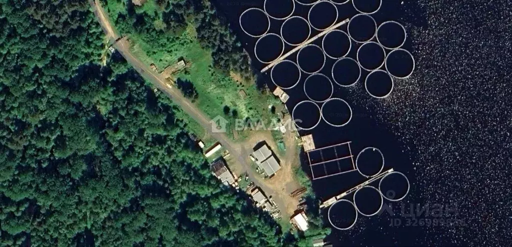 Помещение свободного назначения в Карелия, Кондопожский район, ... - Фото 1