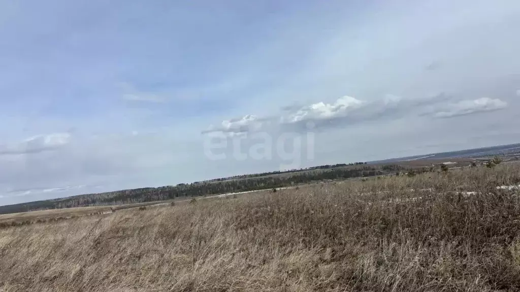 Участок в Иркутская область, Иркутский муниципальный округ, с. ... - Фото 1