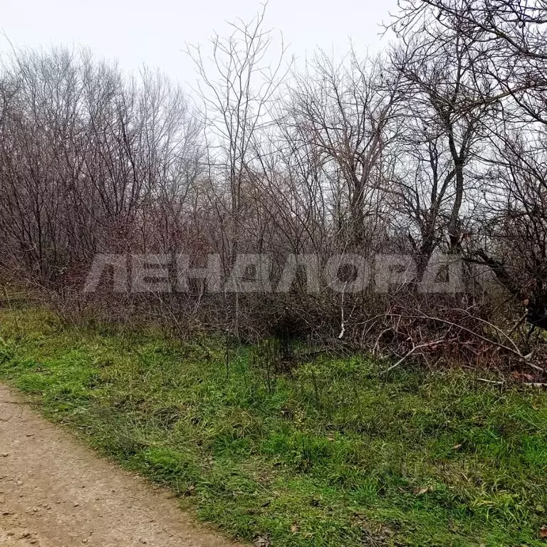 Участок в Ростовская область, Аксайский район, Щепкинское с/пос, пос. ... - Фото 2