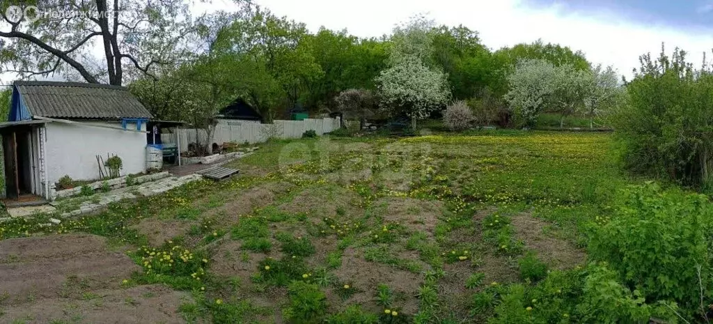 Участок в Благовещенск, садовое товарищество Строитель (8.25 м) - Фото 1