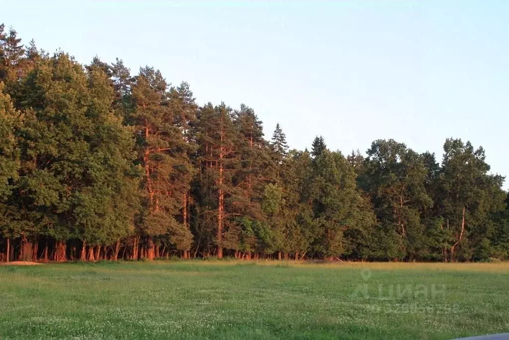 Участок в Московская область, Одинцовский городской округ, д. Дарьино  ... - Фото 2