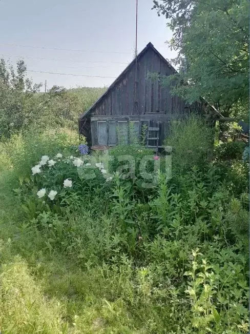 Участок в Томская область, Томск пос. Светлый, Рябинка садовое ... - Фото 1