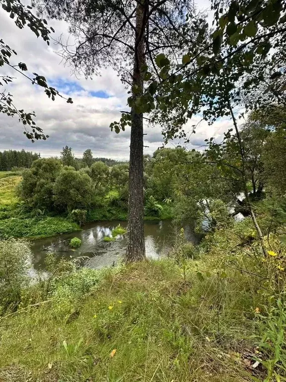 Участок в Московская область, Щелково городской округ, д. Каблуково  ... - Фото 1
