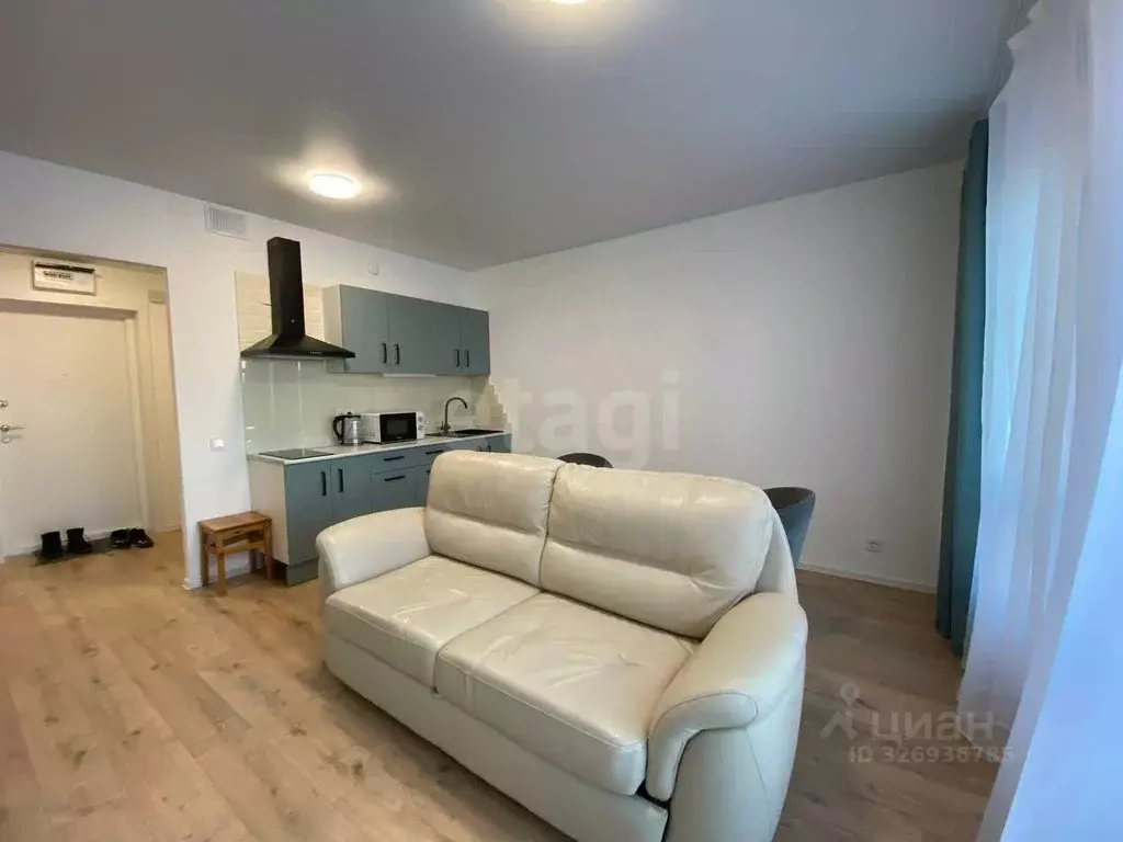 Студия Ленинградская область, Всеволожский район, д. Новое Девяткино ... - Фото 1