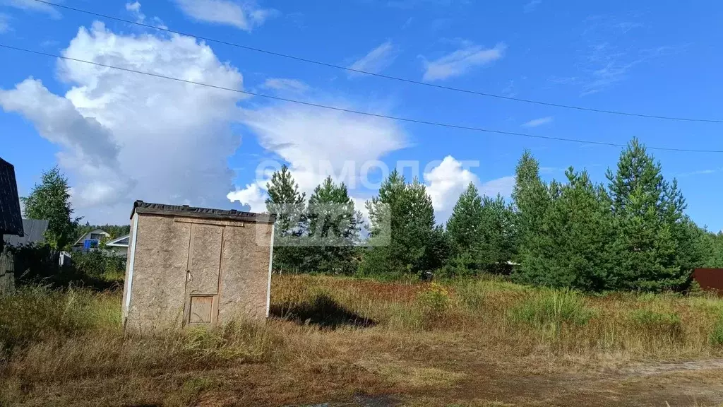 Участок в Марий Эл, Медведевский район, Куярское с/пос, Чодра СНТ 132 ... - Фото 0