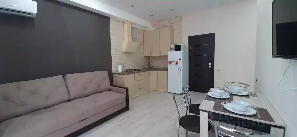 1-к кв. Краснодарский край, Сочи ул. Ленина, 219/8к4 (45.0 м) - Фото 1