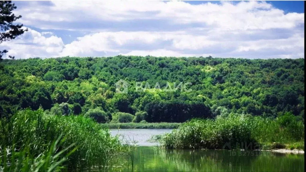 Участок в Белгородская область, Белгородский район, Поселок Разумное ... - Фото 1