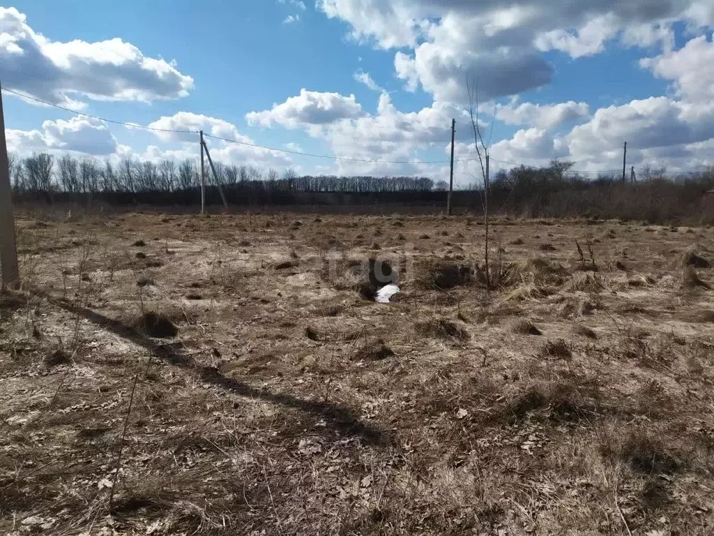 Участок в Воронежская область, Семилукский район, с. Губарево ул. ... - Фото 0