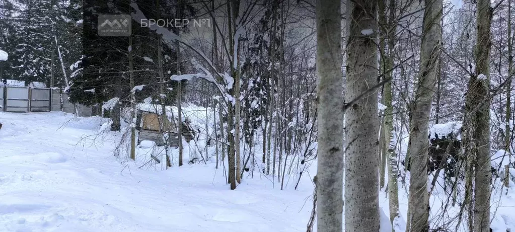 Участок в Ленинградская область, Всеволожск Пушкинская ул., 124 (20.2 ... - Фото 2