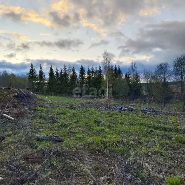 Участок в Вологодская область, д. Стризнево (Сосновский сельсовет)  ... - Фото 1