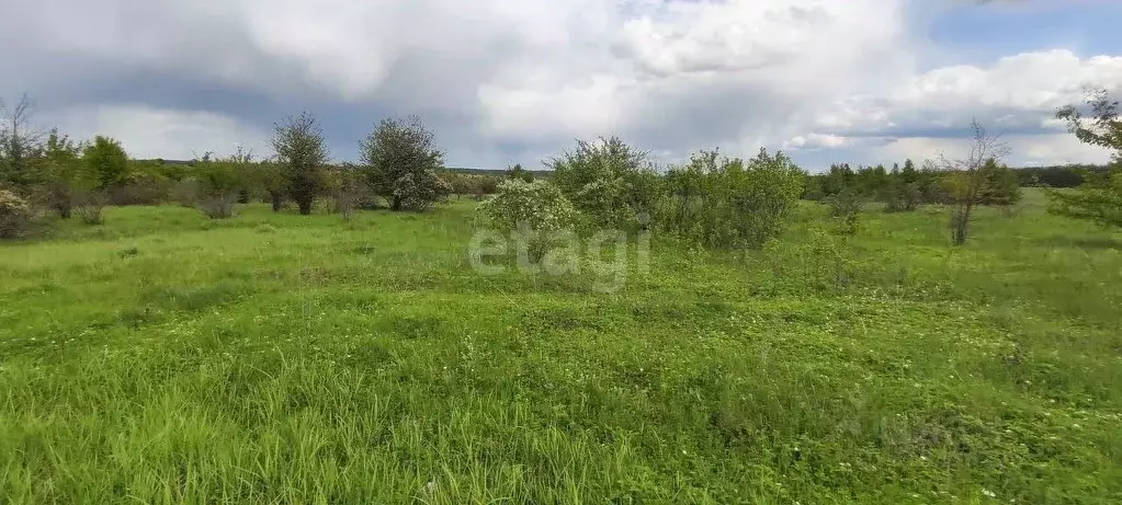Участок в Воронежская область, Рамонский район, с. Русская Гвоздевка  ... - Фото 1