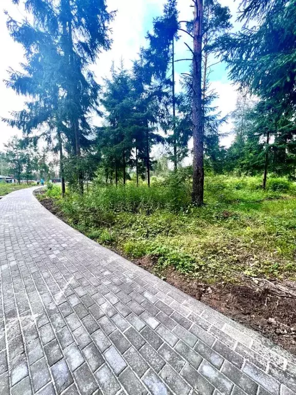 Участок в Московская область, Балашиха ул. Видная (12.9 сот.) - Фото 1