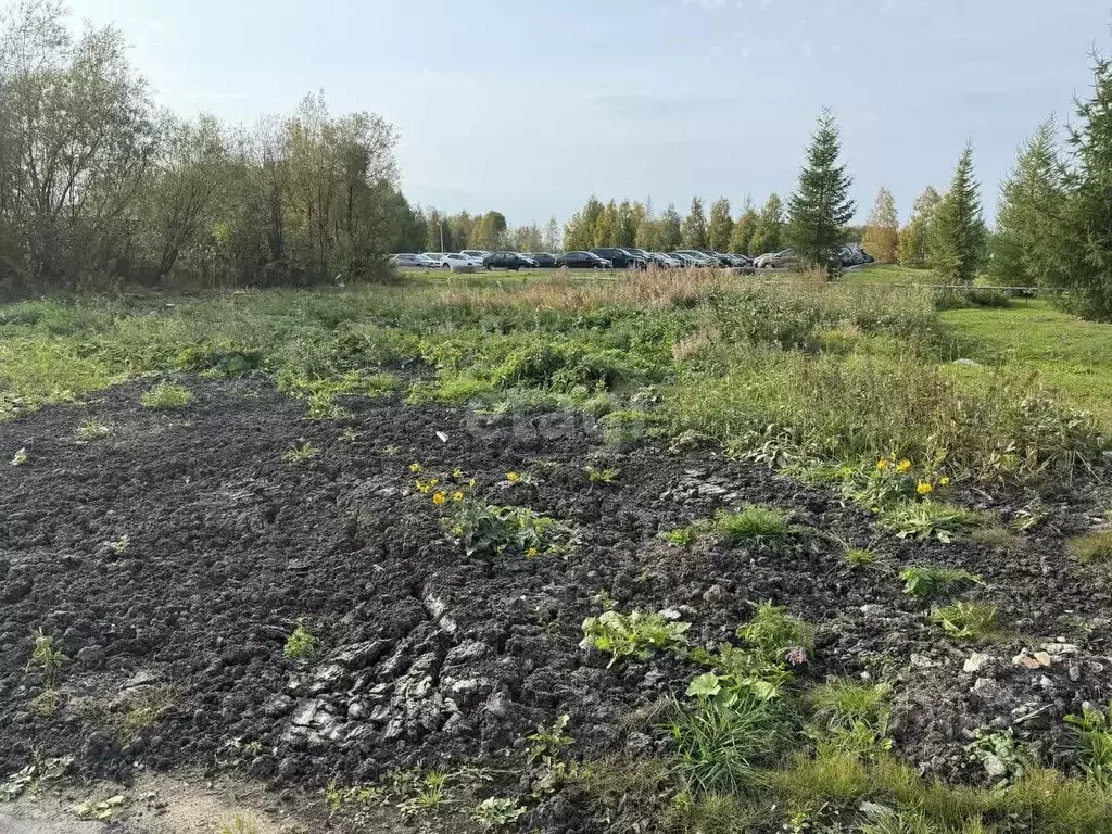 Участок в Архангельская область, Новодвинск ул. Фронтовых бригад, 23 ... - Фото 0