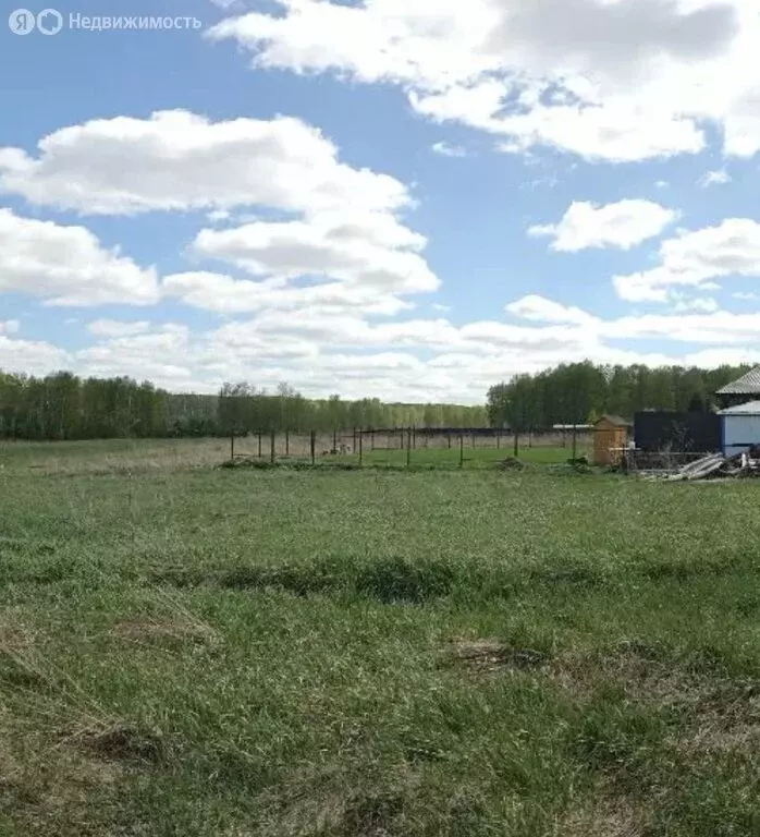Участок в Кемеровский муниципальный округ, село Ягуново (15 м) - Фото 2